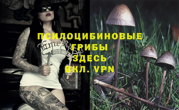альфа пвп Белокуриха