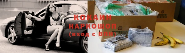 прущие крисы Бородино