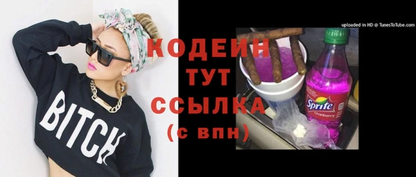прущие крисы Бородино