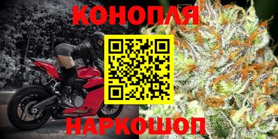 амф Камень-на-Оби