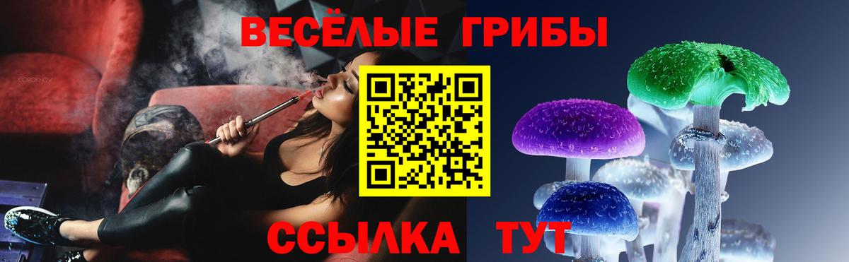 Псилоцибиновые грибы GOLDEN TEACHER  Вход с VPN  Маркс 